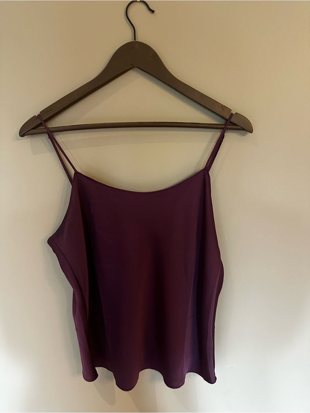 Aritzia Babaton Deep Plum Satin Cami